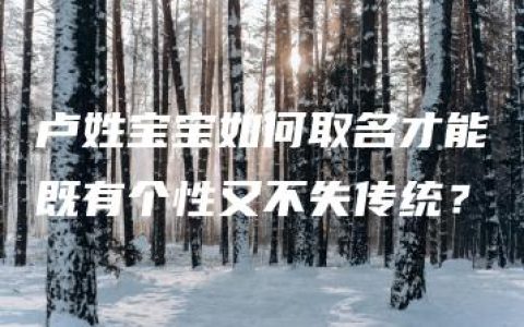 卢姓宝宝如何取名才能既有个性又不失传统？