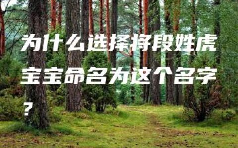 为什么选择将段姓虎宝宝命名为这个名字？