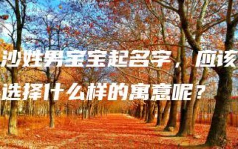 沙姓男宝宝起名字，应该选择什么样的寓意呢？