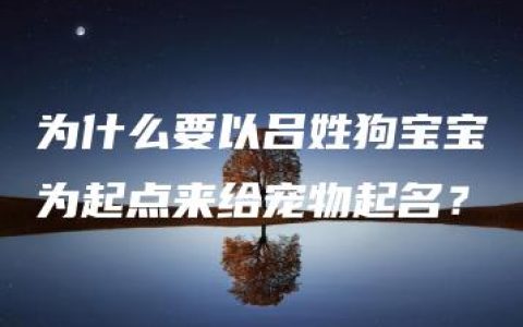 为什么要以吕姓狗宝宝为起点来给宠物起名？