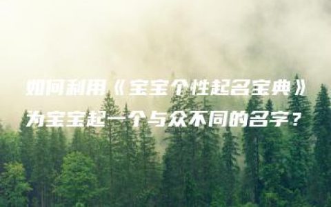 如何利用《宝宝个性起名宝典》为宝宝起一个与众不同的名字？