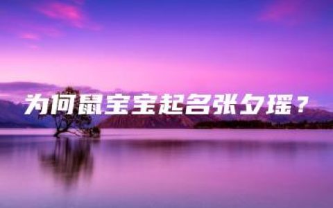 为何鼠宝宝起名张夕瑶？