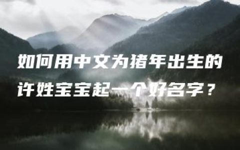 如何用中文为猪年出生的许姓宝宝起一个好名字？