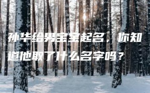 孙华给男宝宝起名，你知道他取了什么名字吗？