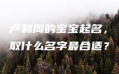 卢和周的宝宝起名，取什么名字最合适？