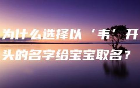 为什么选择以‘韦’开头的名字给宝宝取名？