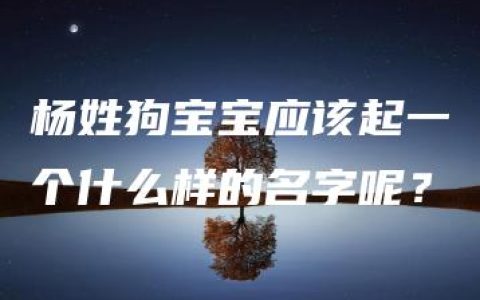 杨姓狗宝宝应该起一个什么样的名字呢？