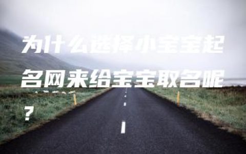 为什么选择小宝宝起名网来给宝宝取名呢？