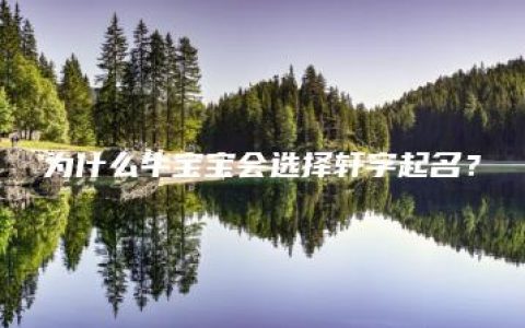 为什么牛宝宝会选择轩字起名？