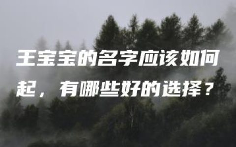 王宝宝的名字应该如何起，有哪些好的选择？