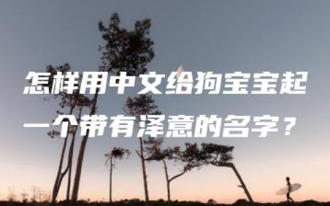 怎样用中文给狗宝宝起一个带有泽意的名字？