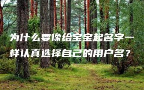 为什么要像给宝宝起名字一样认真选择自己的用户名？