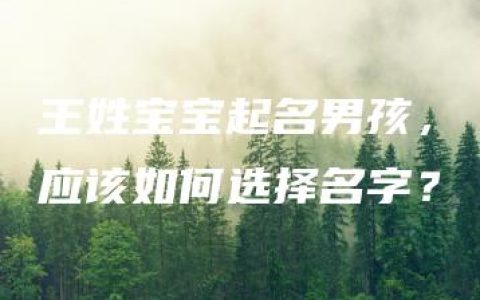 王姓宝宝起名男孩，应该如何选择名字？