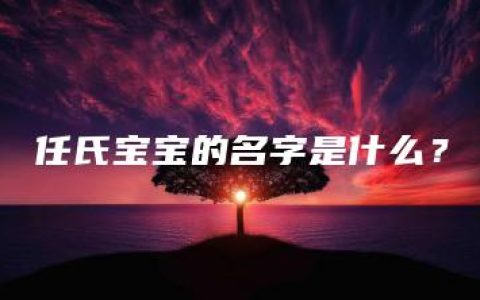 任氏宝宝的名字是什么？