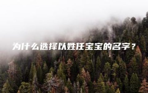 为什么选择以姓任宝宝的名字？