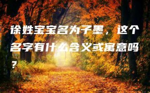 徐姓宝宝名为子墨，这个名字有什么含义或寓意吗？