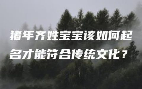 猪年齐姓宝宝该如何起名才能符合传统文化？