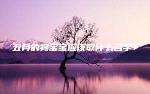 五月的狗宝宝应该取什么名字？