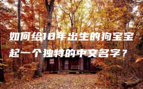 如何给18年出生的狗宝宝起一个独特的中文名字？