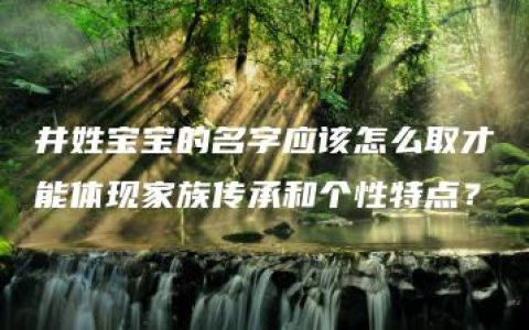 井姓宝宝的名字应该怎么取才能体现家族传承和个性特点？