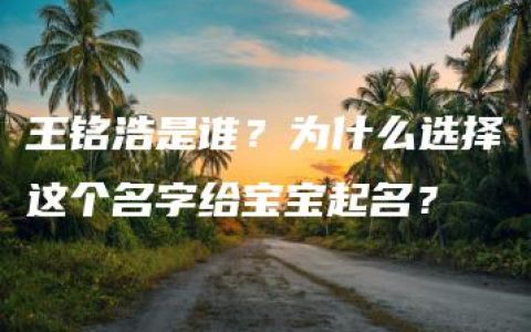 王铭浩是谁？为什么选择这个名字给宝宝起名？