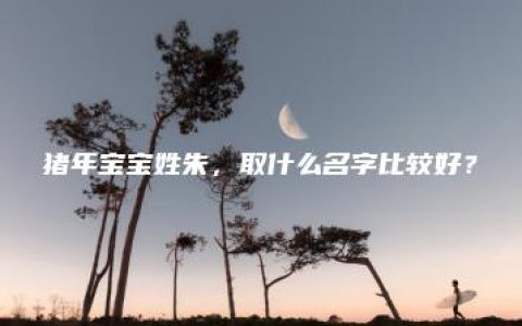 猪年宝宝姓朱，取什么名字比较好？