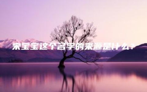 宋宝宝这个名字的来源是什么？