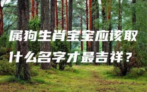 属狗生肖宝宝应该取什么名字才最吉祥？