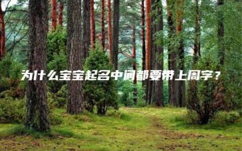 为什么宝宝起名中间都要带上周字？