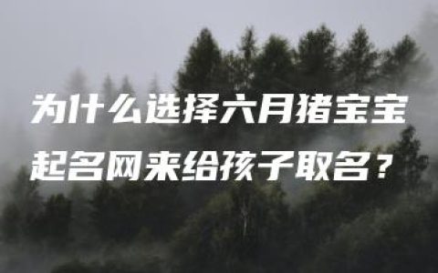 为什么选择六月猪宝宝起名网来给孩子取名？