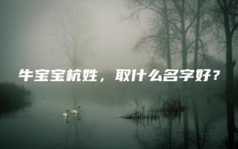 牛宝宝杭姓，取什么名字好？