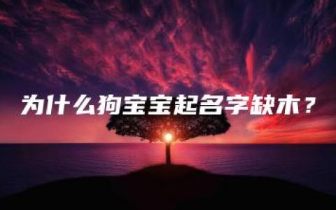 为什么狗宝宝起名字缺木？