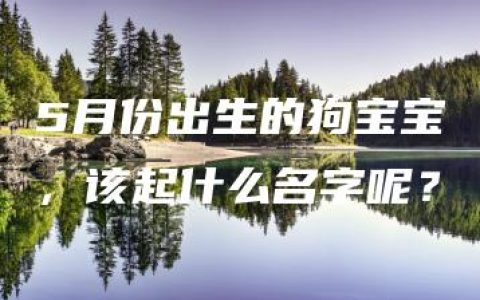 5月份出生的狗宝宝，该起什么名字呢？