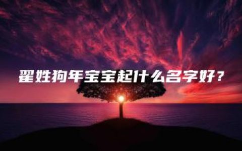 翟姓狗年宝宝起什么名字好？