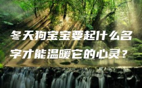 冬天狗宝宝要起什么名字才能温暖它的心灵？