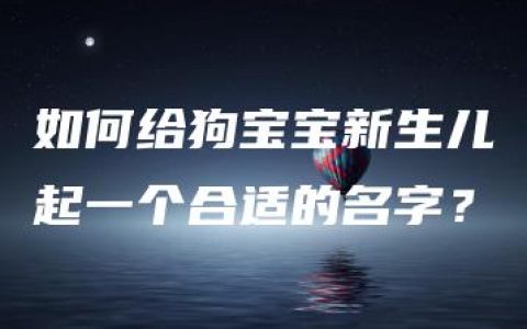 如何给狗宝宝新生儿起一个合适的名字？