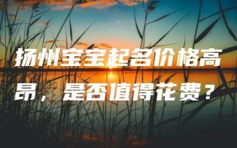 扬州宝宝起名价格高昂，是否值得花费？