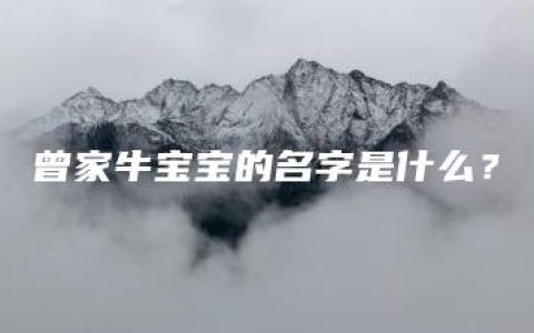 曾家牛宝宝的名字是什么？