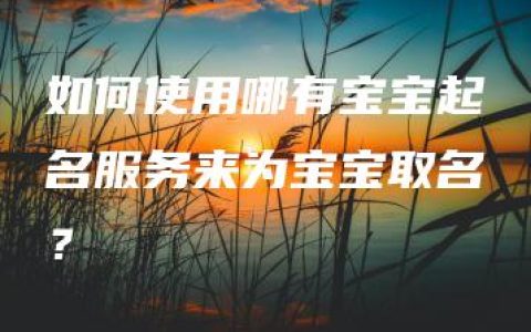 如何使用哪有宝宝起名服务来为宝宝取名？