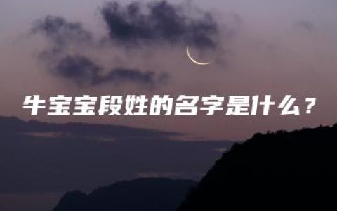 牛宝宝段姓的名字是什么？