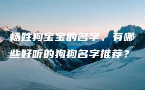 杨姓狗宝宝的名字，有哪些好听的狗狗名字推荐？