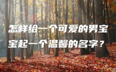 怎样给一个可爱的男宝宝起一个温馨的名字？