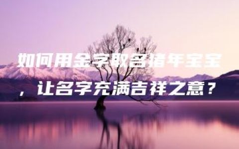 如何用金字取名猪年宝宝，让名字充满吉祥之意？