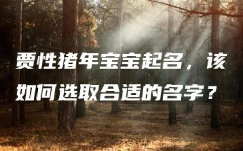 贾性猪年宝宝起名，该如何选取合适的名字？