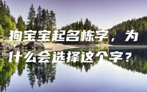 狗宝宝起名栋字，为什么会选择这个字？