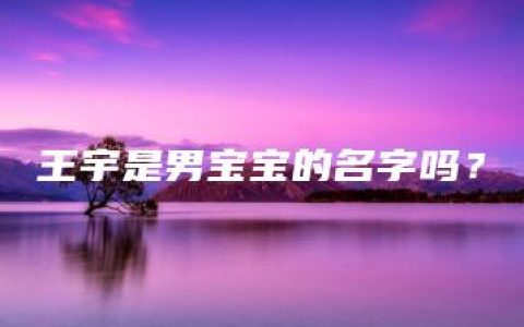 王宇是男宝宝的名字吗？