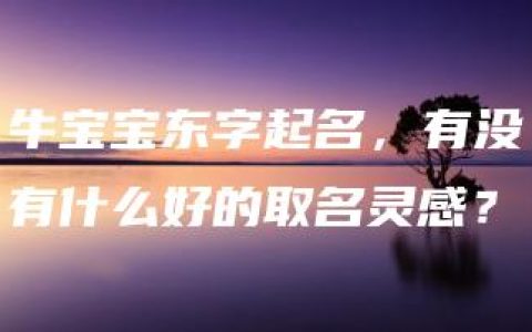 牛宝宝东字起名，有没有什么好的取名灵感？