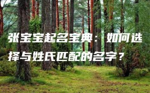 张宝宝起名宝典：如何选择与姓氏匹配的名字？