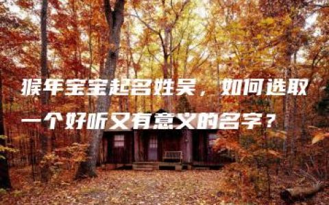 猴年宝宝起名姓吴，如何选取一个好听又有意义的名字？