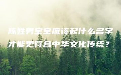 陈姓男宝宝应该起什么名字才能更符合中华文化传统？